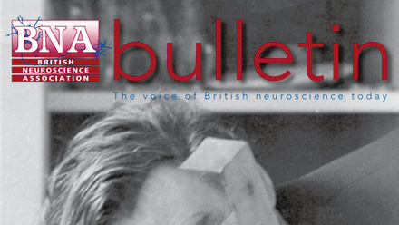 Bulletin 62.png