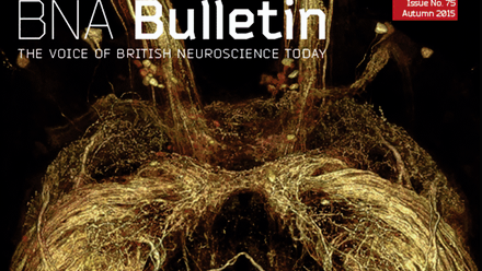 Bulletin 75.png