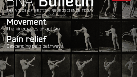 Bulletin 96.png