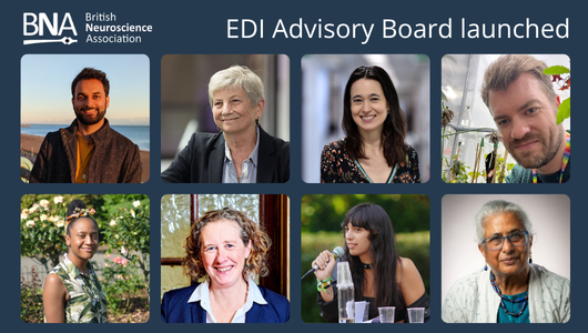 EDI Advisory Board.png