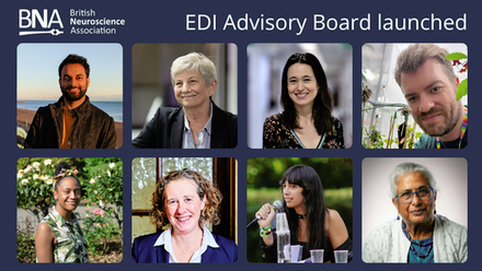 EDI Advisory Board.png