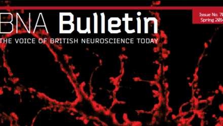 Bulletin 70.png