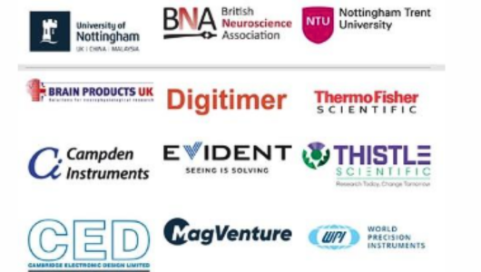 News articles new website (2).png