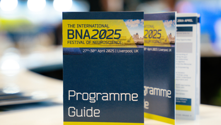 BNA2025 Wrap up.png
