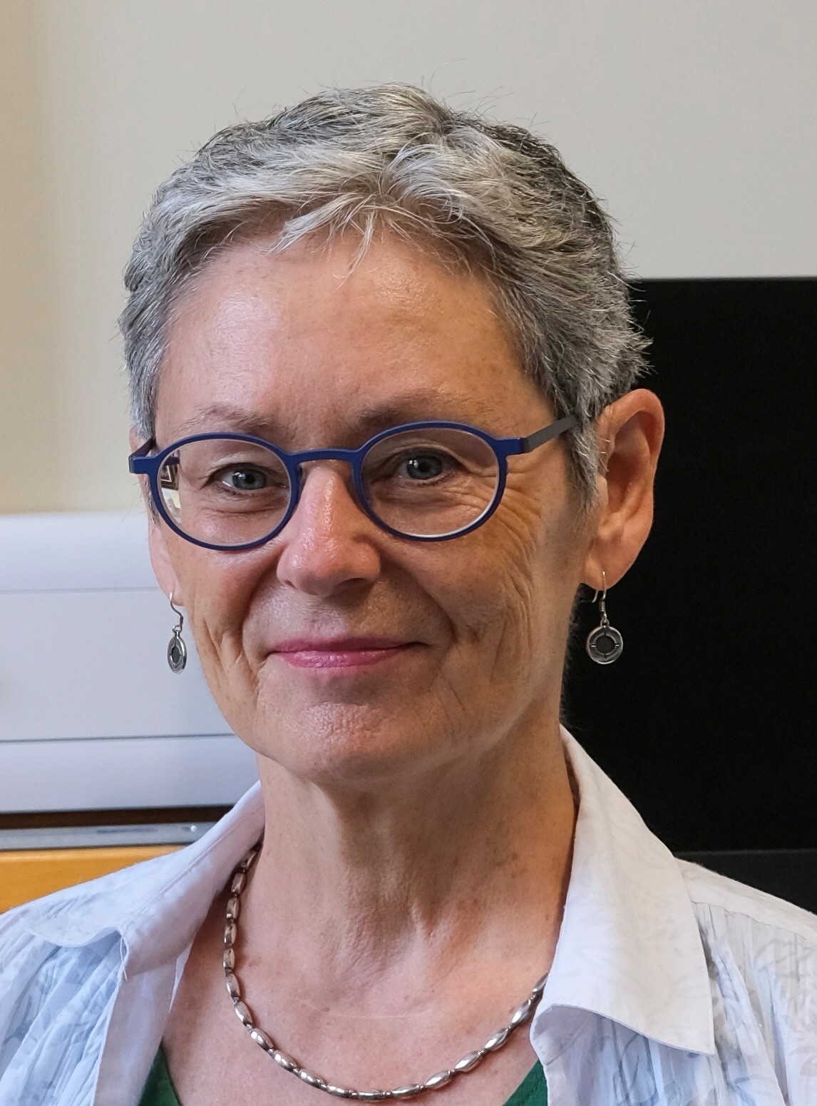 Professor Christine Holt.jpg
