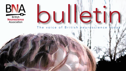 Bulletin 63.png