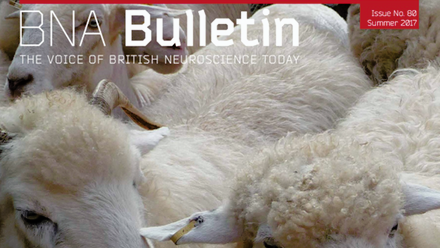 Bulletin 80.png