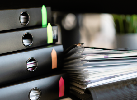 Governance docs2.png