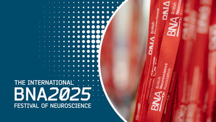 _BNA2025 online 2.png