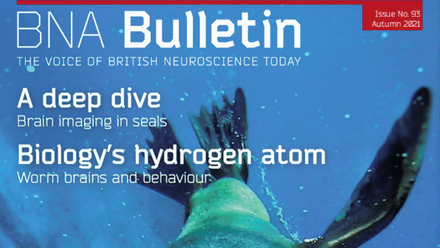 Bulletin 93.png