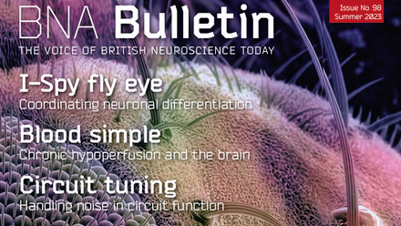 Bulletin 98.png