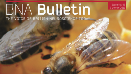 Bulletin 83.png