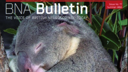 Bulletin 77.png