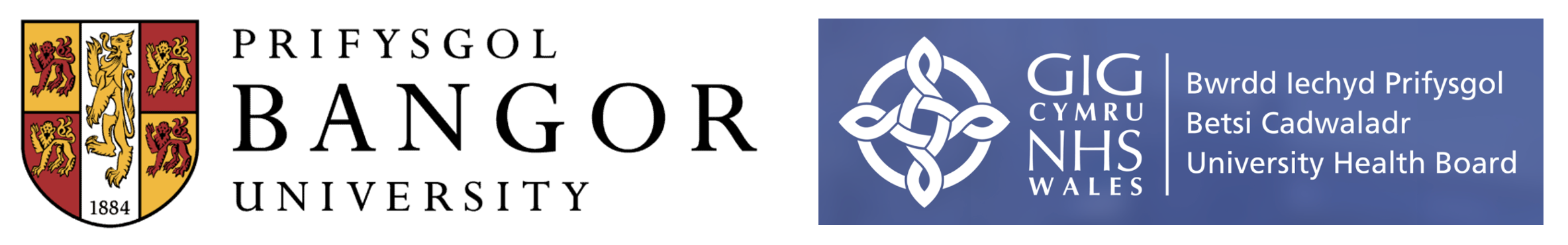 LG logo collage - Bangor.png