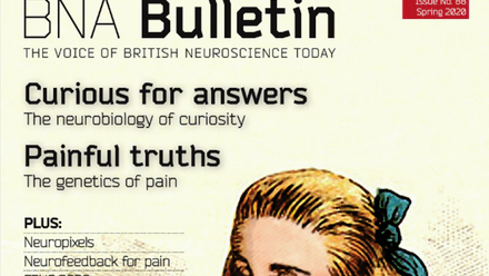 Bulletin 88.png